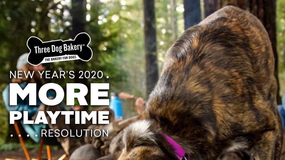 What are you playtime resolutions for #2020 ? #threedogbakery #lasvegas