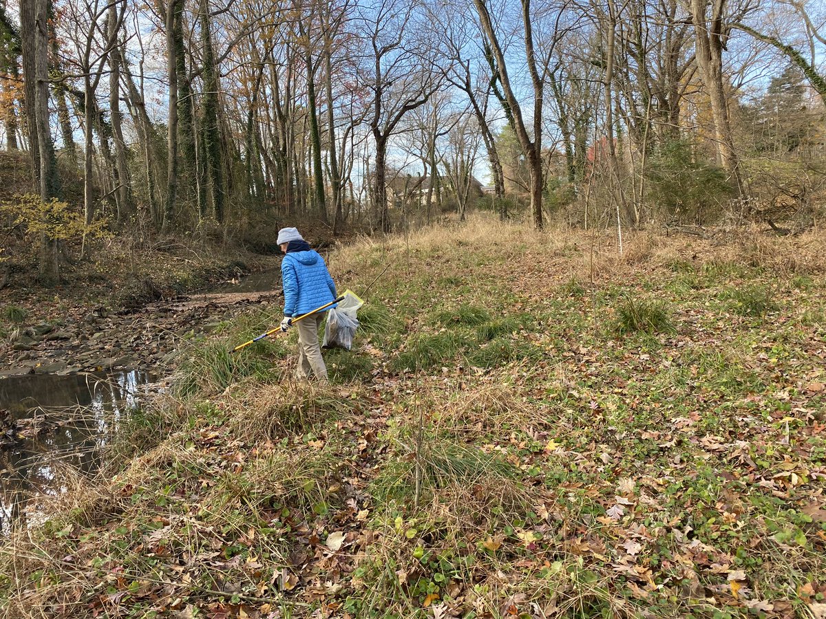1st Day Hike up through the Spa Creek Headwaters. 1pm start. Meet at Weems Whalen Field parking lot by the track behind Bates Middle, Annapolis