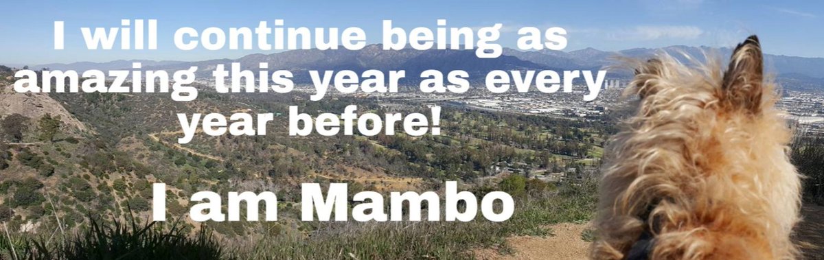 WillMamboEatIt's tweet photo. We're about to close out 2019! Which means this is the last #MamboMotivationalMonday of the year! Thank you all for your love and support this year! We here at Team Mambo look forward to making so many more memories with you! Have an amazing new year!💙🐾💙🐾 https://t.co/Xf3O4DpIFz