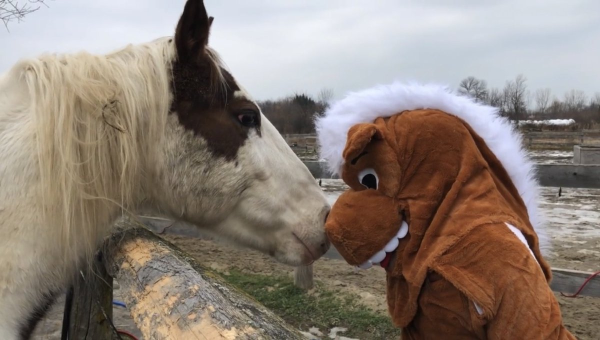 AHorseTale's tweet photo. Merci à tous pour vos dons! Thanks to everyone who contributed to our crowdfunding campaign! Donate by midnight December 31st to get a charitable tax receipt for 2019. Happy New Year from all of us at AHT! Bonne année!

https://t.co/ecbGOPo1W0

Save a Horse, Change a Life ❤️🐴 https://t.co/J041V5J917