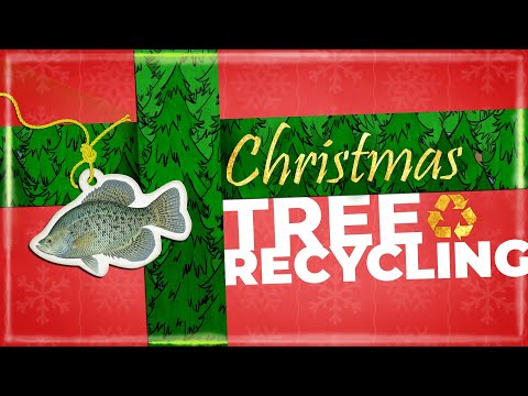 kyfishwildlife's tweet photo. Re-Gift your Natural Christmas Tree to Kentucky's Fishes!  
Drop off your Xmas tree, with all decorations removed, by January 15. Locations here: https://t.co/UI2SKOoT2u

https://t.co/MAMAgzh6kb https://t.co/KotW8MYG4d