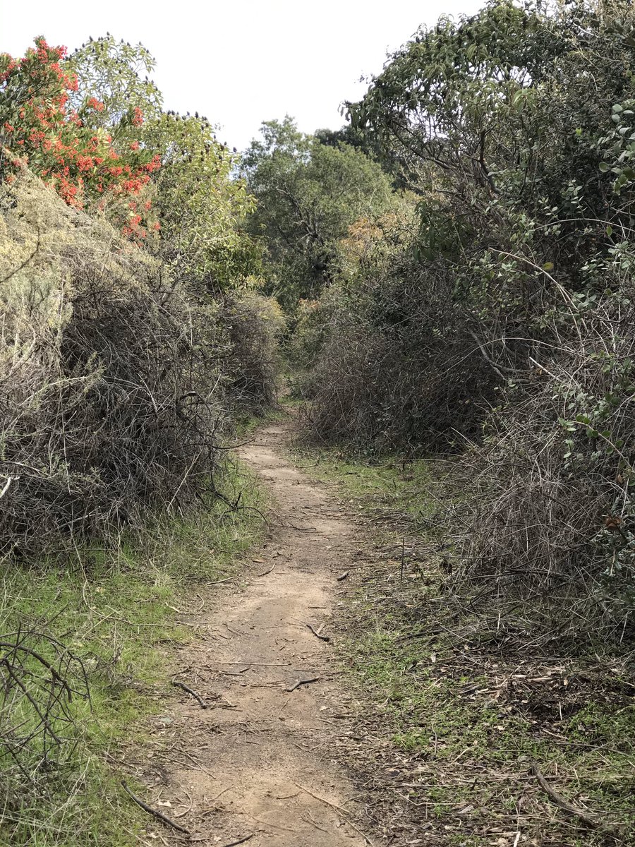 directedbyroman's tweet photo. Some iPhone pics from my hike https://t.co/vGyRuvz3oY