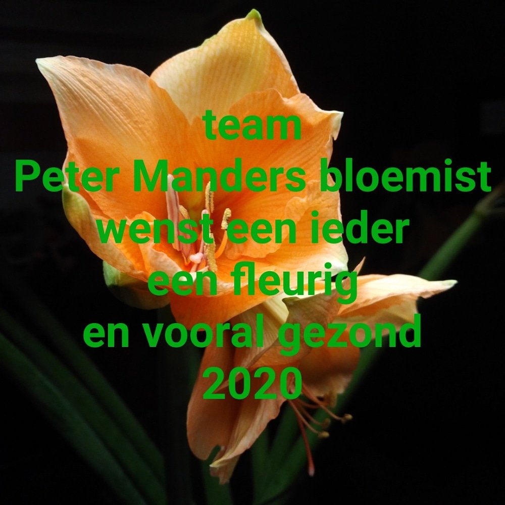 happy new year / gelukkig nieuwjaar / pf2020 
<a href="/peter_manders/">PMB</a> bloemist in #Lemmer #Fryslân #NL 
#defryskemarren 
#gezond #bloemen #planten #2020
