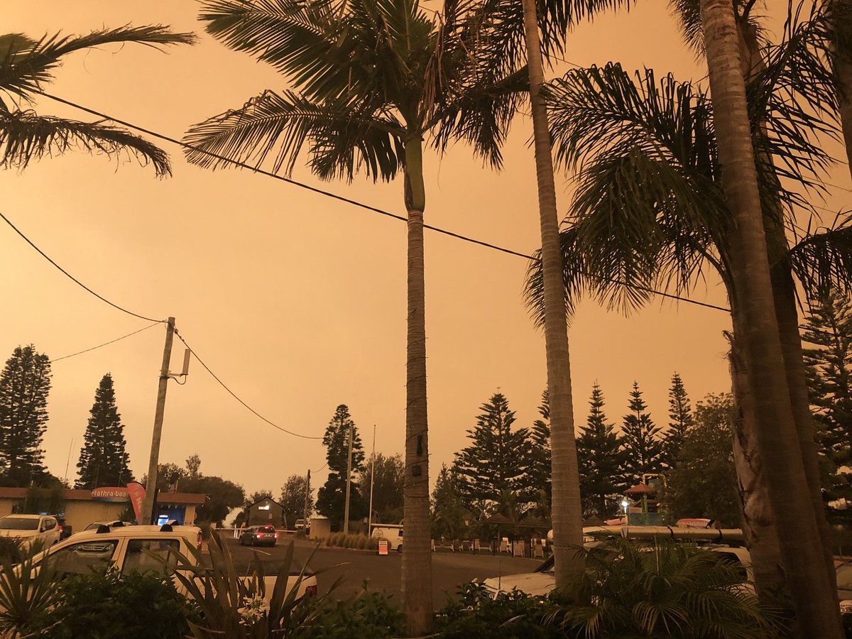 Alison Drower tweet media