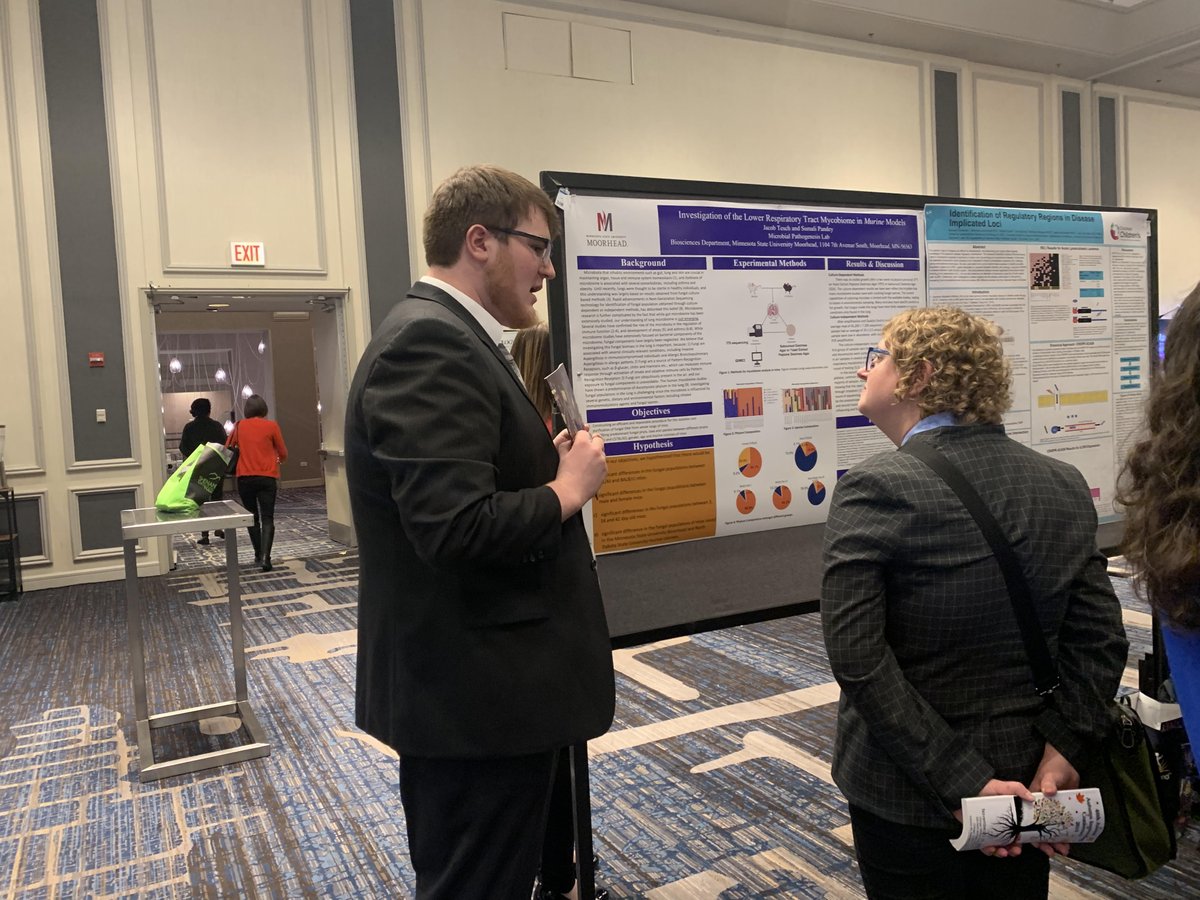 MicrobialPath's tweet image. Undergraduate students presented their findings at Autumn Immunology Conference 2019 #GoDragons, @MSUM_UR  Thank you for funding their project and travel: Judith Strong funds, #Cshe, and SABC @MSUM.