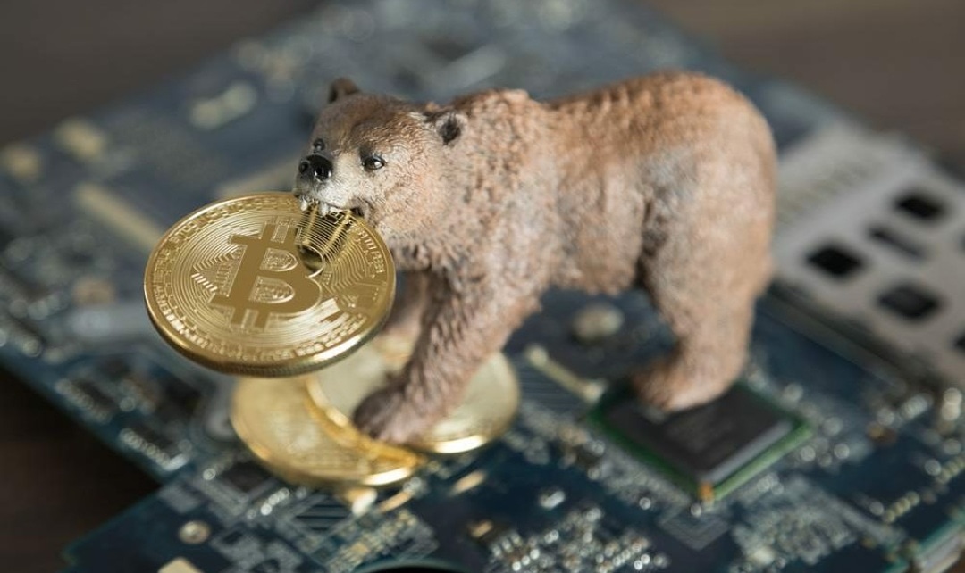 Coin News Telegraph tweet media