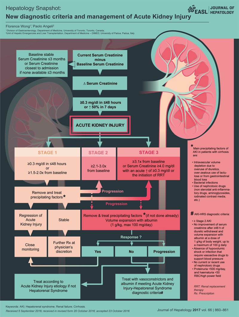 DigestivoHuc's tweet photo. Excelentes infografías para descubrir o revisitar, #snapshot vía @JHepatology

 https://t.co/6XXnAP9Szy

Acute kidney injury un cirrhosis https://t.co/GhZetFE65M