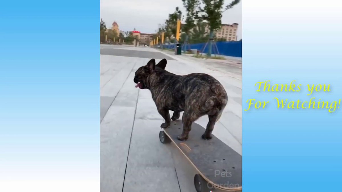 MeowMoeDotCom's tweet photo. Funny #Cats and dogs. #Cute #Cats and ...
 
#Cats #Cat #Kittens #Kitten #Kitty #Pets #Pet #Meow #Moe #CuteCats #CuteCat #CuteKittens #CuteKitten #MeowMoe
 
#Adorable #AdorableCats #AdorablePets #Animals #AnimalsTooCute #CatsAndDogs
 
https://t.co/JNKUOxpxaE
 
. https://t.co/PNBIG3lW30