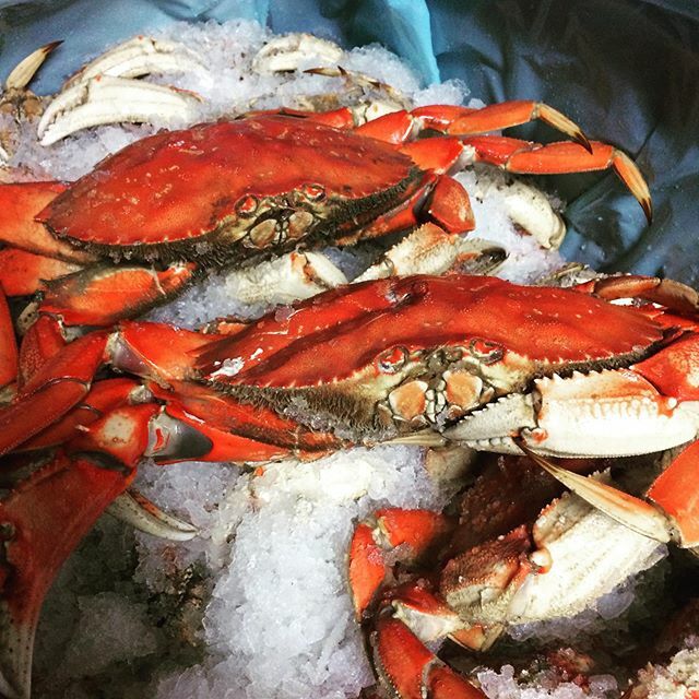 TheButcherBloc's tweet photo. Fresh Dungeness Crab is in! $24 per crab, cleaned and ready to enjoy! https://t.co/ZoKvfdjGQa https://t.co/CkEdWIu8CQ