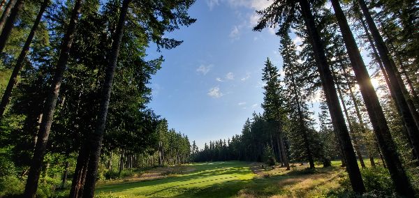 Storey Creek Guests Newsletter January 2020 - mailchi.mp/f2ac67e8c1eb/s…
