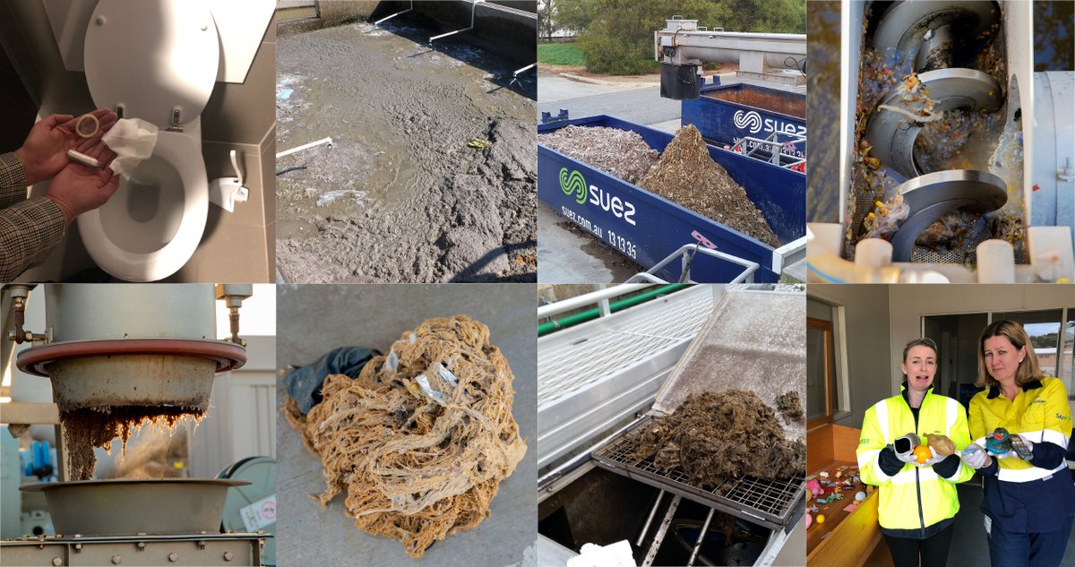 SAWaterCorp's tweet photo. During the year, gross photos grabbed your attention and our catchy jingle asked you to remember to keep our sewers healthy. How about a New Yearβs resolution to keep fats and oils away from the kitchen sink, and pledging to only flush paper, pee or poo? π© π½ #BestBitsof2019 https://t.co/8DacvLCaTl