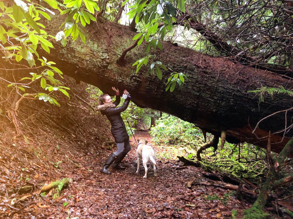 This is what a good partner will do for you. Clear your pathway so you can keep going.