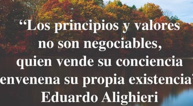 CoreHavens Network 🏝 tweet media