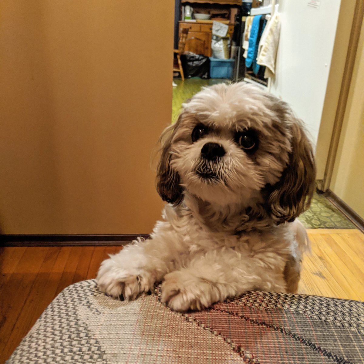 jackjackjack301's tweet photo. veggies pls https://t.co/80obF5OwnB