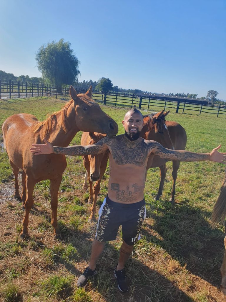 kingarturo23's tweet photo. De mis caballos aprendí... que la fuerza se complementa con la nobleza y la lealtad.  ❤️🐎❤️🐎 https://t.co/RxnNiQQWQw