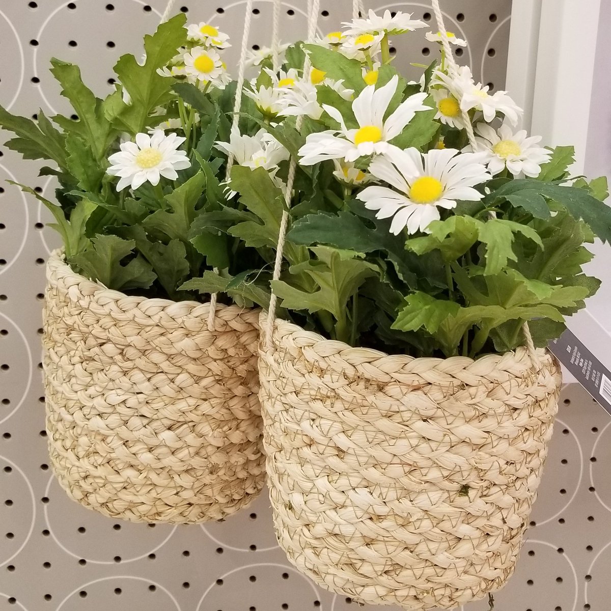 Teresa_R_Myers's tweet photo. It looks like a new season is in bloom at #T1236. Here are a few of my favorite things from the set. #opalhouse #springset https://t.co/18radJRpF5