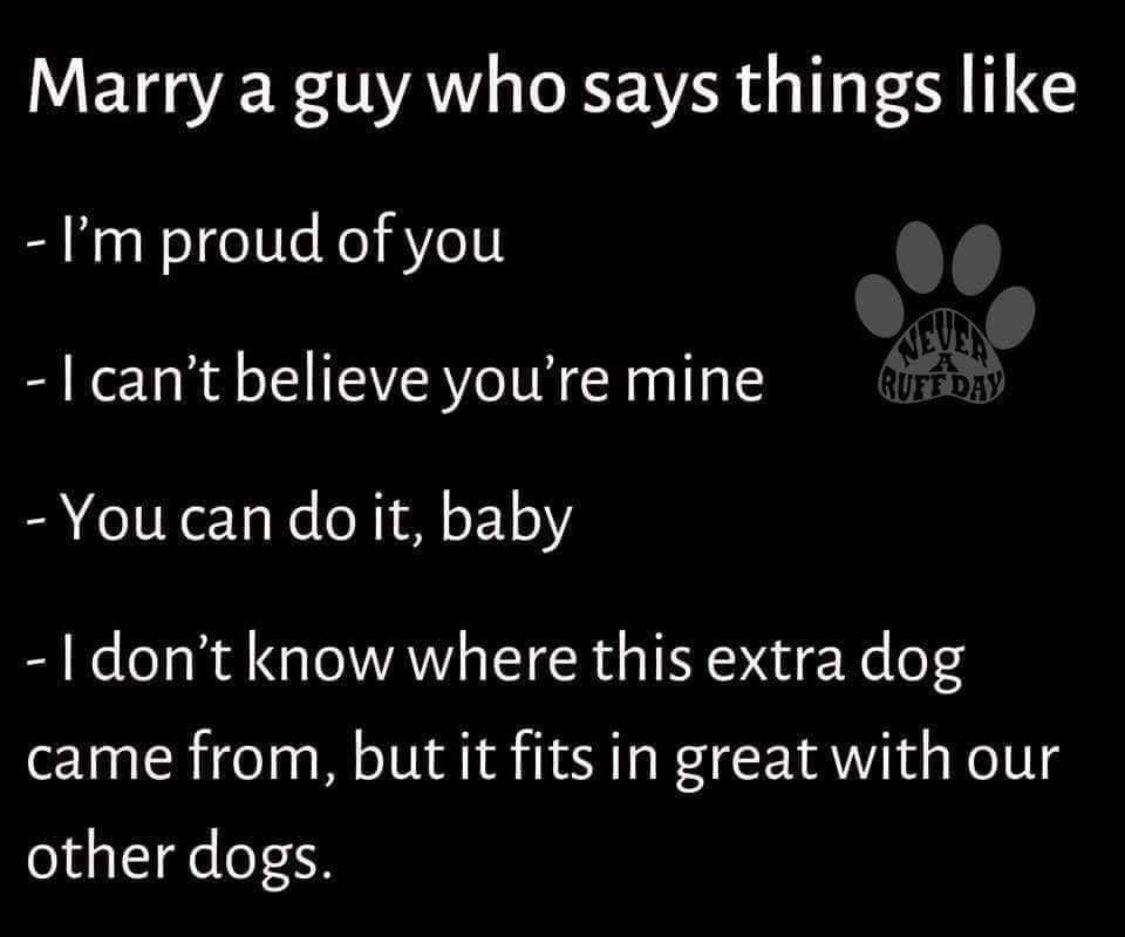 Sherry Bogdan tweet media