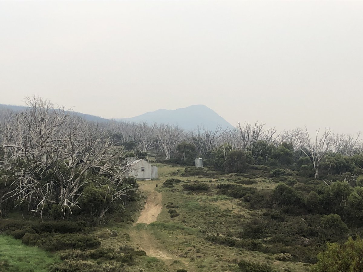Smoke from a fire near Tumbarumba has blown in. No danger up here for now, but the mountains have a very bleak feel today, which grabs hold of your mood. Onwards, and good luck to all firies and people in harm’s way today  #AAWT