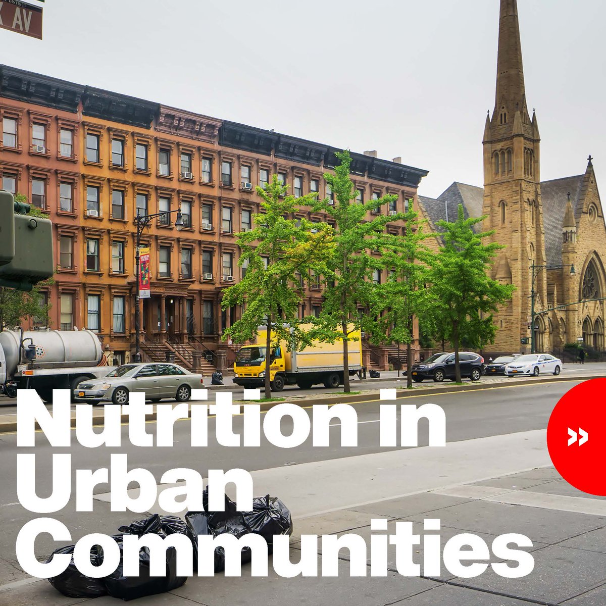 NASDAnews's tweet photo. Many families in urban communities experience difficulty accessing fresh & affordable produce (@FeedingAmerica ). #Apples4Ed (@usapples ) provides $ to support community gardens, educational programming & healthy snacks to schools in urban areas.
More: https://t.co/z1y08sxzml. https://t.co/weyAgDMkOZ