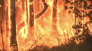 During this extraordinary #bushfirecrisis, v irritating to hear Aus Environment Minister @sussanley on @RadioNZ- 'we are doing our bit... we will exceed our targets' etc. Rubbish. THIS IS NOT NORMAL. [Ok- all you frothing denial nutters- cue trolling now] Mallacoota- be safe.