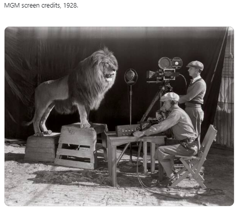 elia bazan tweet media