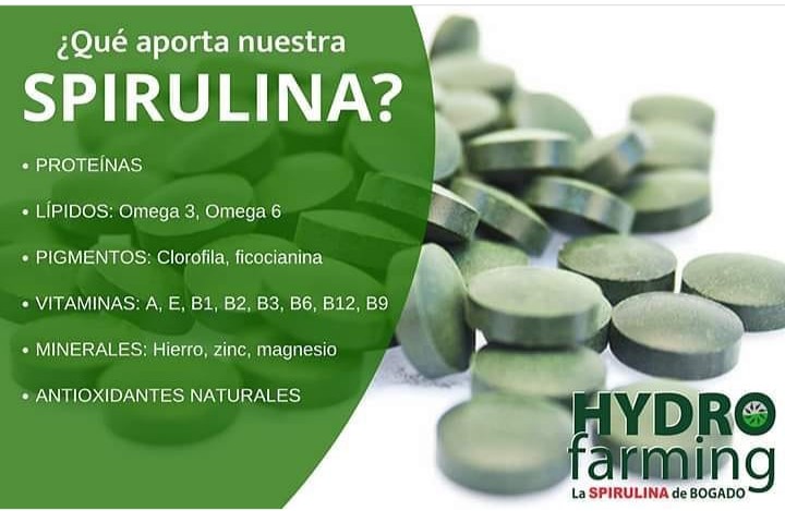 hydrospirulina's tweet photo. #Hydrofarming #Spirulina #Bogado https://t.co/0pd4C2SG48