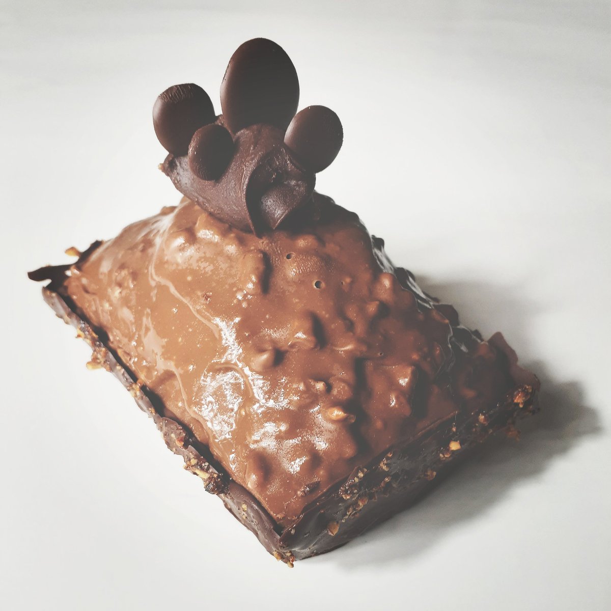 ShiningGemBakes's tweet photo. Trying out some new treats | Double Chocolate Hazelnut Mini Loaf | Dark chocolate #cake, Nutella filled, milk chocolate hazelnut #glazed, dark chocolate dipped, hazelnut bark garnished...Question is #boise will you buy this? #freshbaked #recipedevelopment #yumm #chocolate https://t.co/vKU7QU1IyC