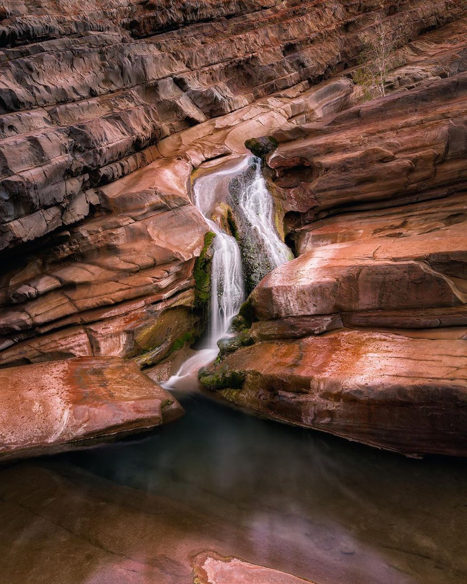 ✨ Let your troubles trickle away as your take a moment to appreciate the incredible #KarijiniNationalPark and all its ancient gorges and formations. IG/michaelsarich captured the one-of-a-kind #HamersleyGorge doing its idyllic thing. #thisisWA