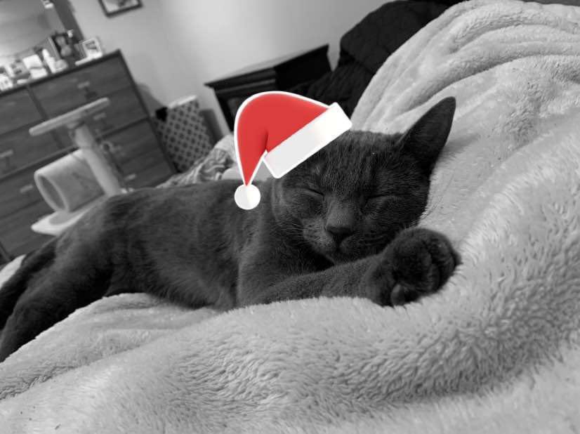 ___olednac's tweet image. i love you 💕