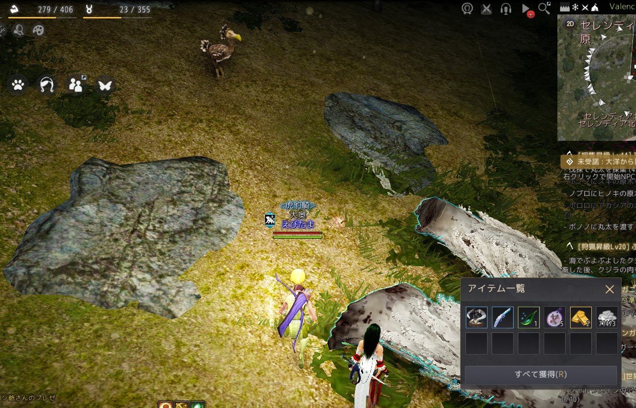 タマ子 雪男ピーク W デッドリーなんとかもらえた 黒い砂漠