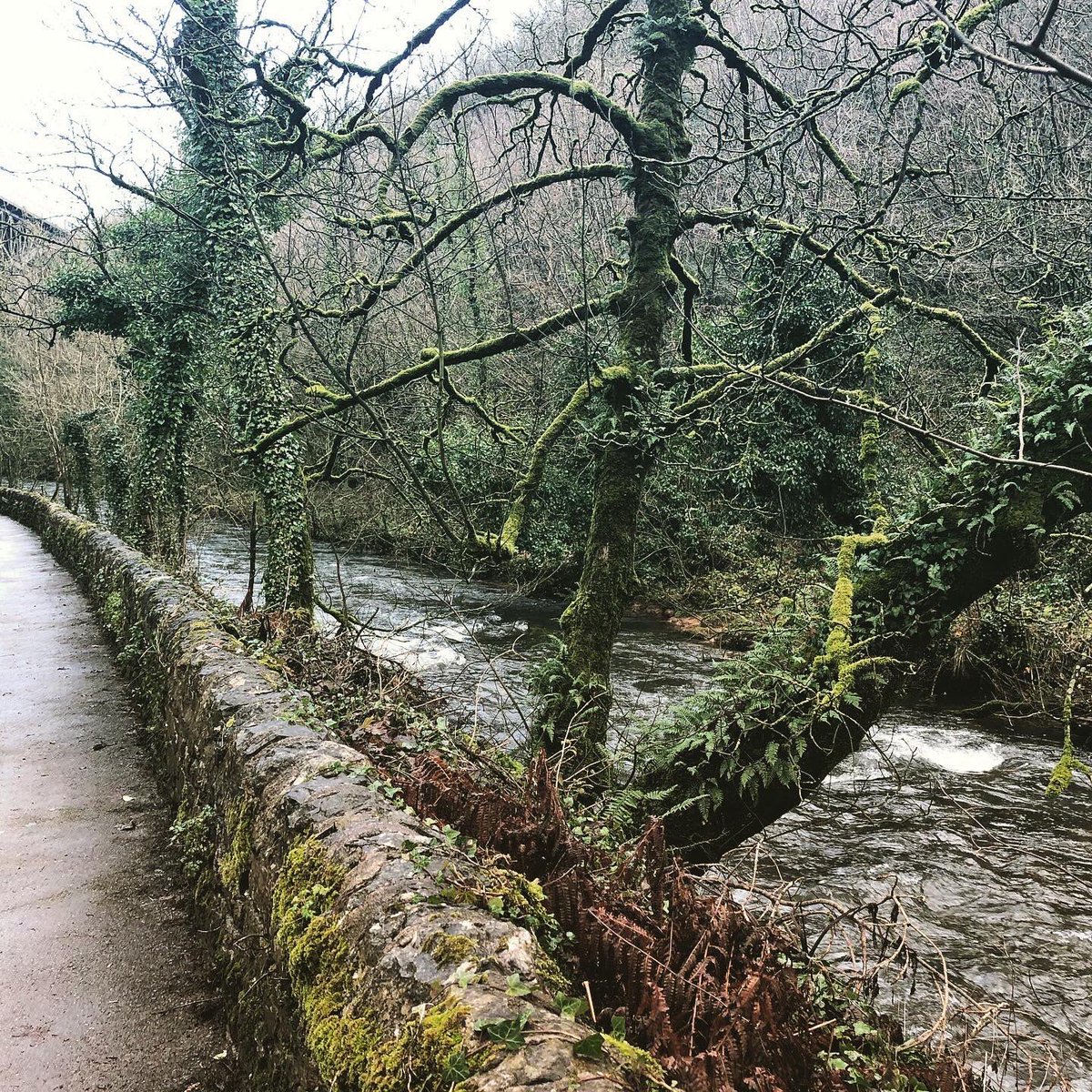 mapadventuresuk's tweet photo. On Xmas hikes. Keep dreaming and reaching new levels. Happy holidays #neverendingadventures https://t.co/735OEVrxv7