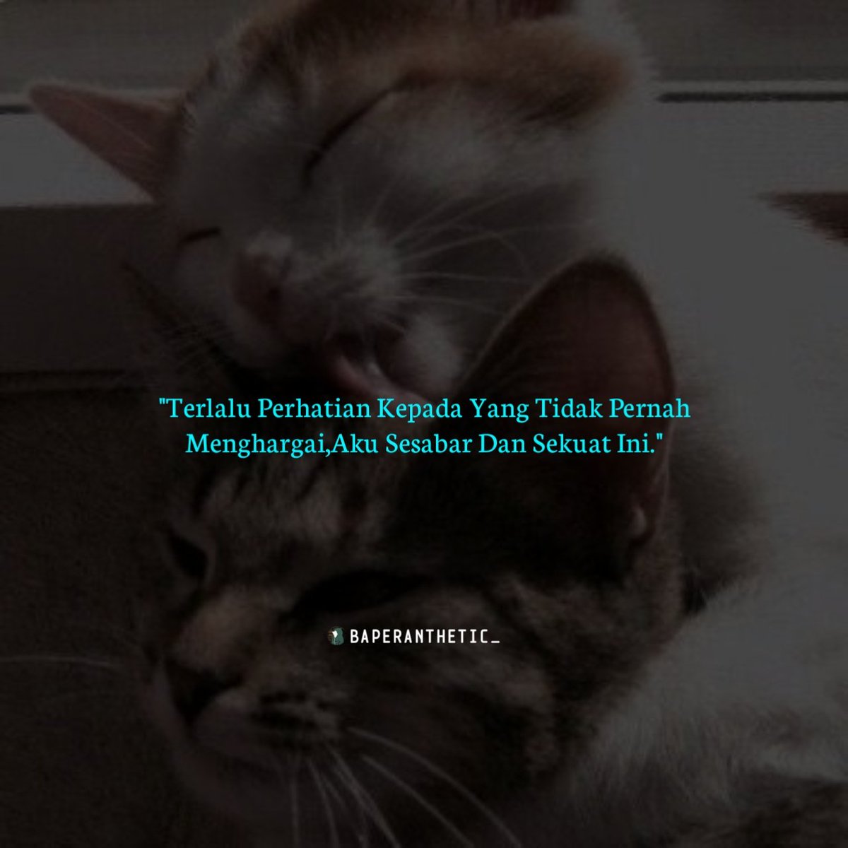 #sadaestethic #quotes #quote #sindiran #kata2cewek #detikbaper15 #indopostgram #path #yahhbaper #baper #sorrygalau #bikinrame #instaquotes #cethar #baperbangett #fokusmodus #ruangpena #dagelan #cinta #retak #katabijak #sastra #quotes #baperanthetic #quotessejati #quotescinta