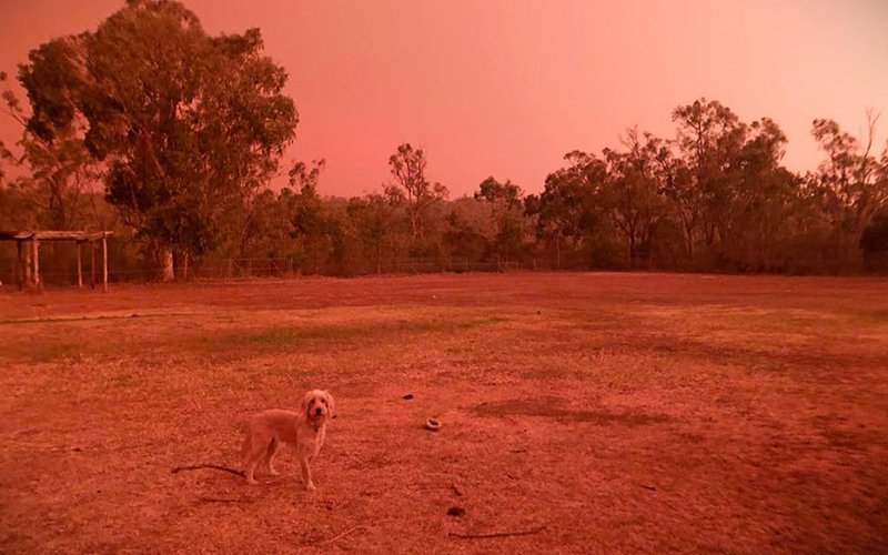 LMildwater's tweet photo. How many times is @ScottMorrisonMP gunna act like a clown? Fucking #Fireworks during a #bushfirecrisis .Youre a moron mate. #FireScomo https://t.co/9xLeeQjPTJ