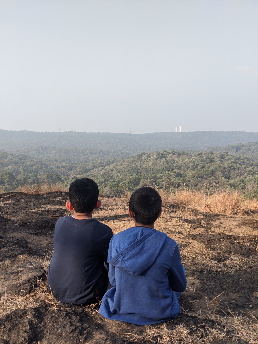 Pic 1 : the bracket fungi that grows on dead trees ! 
Pic 2 : the tunnel spider's web
Pic 3 : the ghost tree that glows in the night 
Pic 4: 2 tired , but happy kiddos 
#sanjaygandhinationalpark