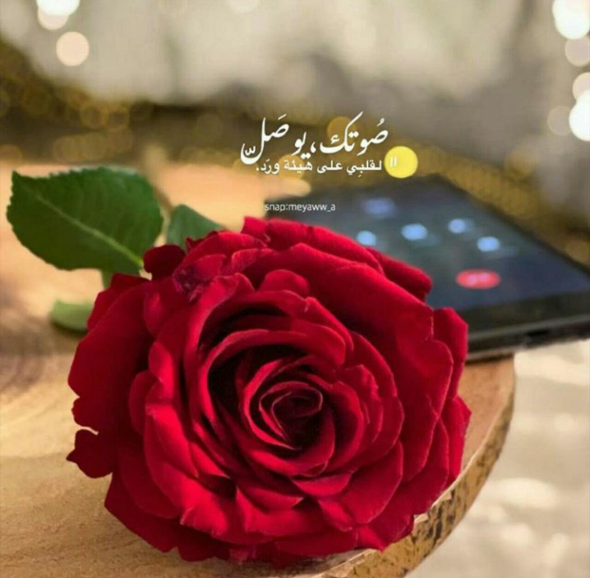 للحبيب صباح الخير حبيبي تويتر