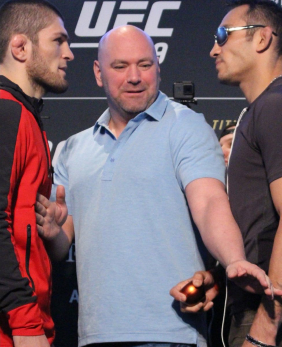 MMAVIRAL tweet media