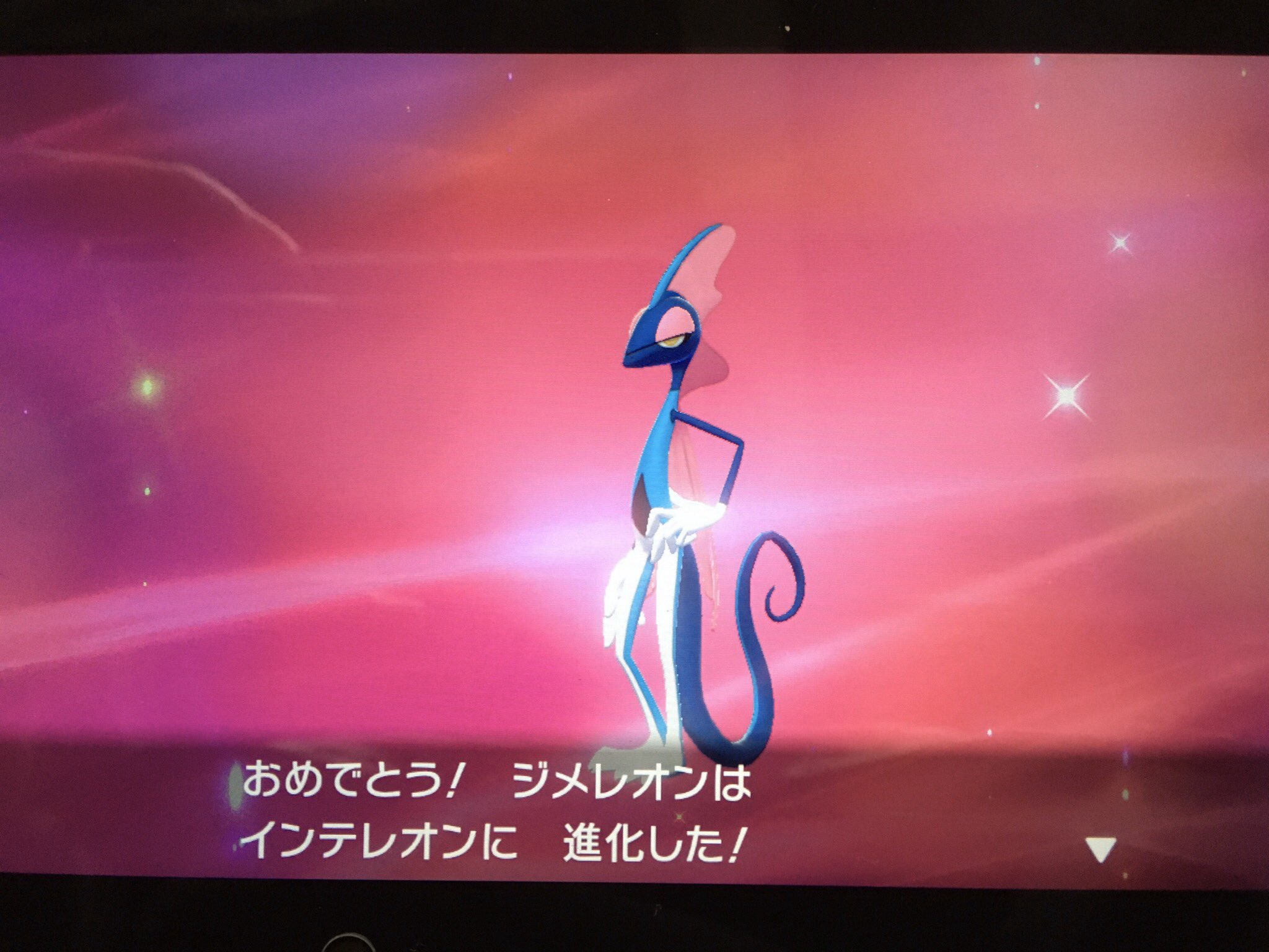 色違いインテレオン Twitter Search Twitter