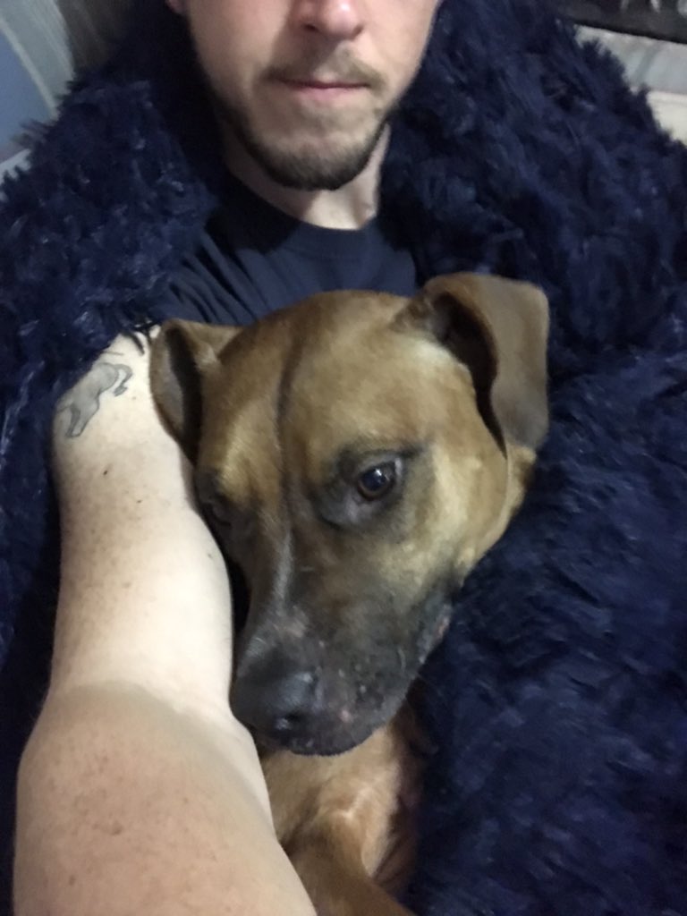 tmhoward's tweet image. Arlo’s grand-human got us a new fuzzy blanket for Christmas. He’s a big fan of fuzzy blankets and snuggling in them with his person. @MelindaHoward4 
#fuzzyblanket #Arlo #DogsofTwittter