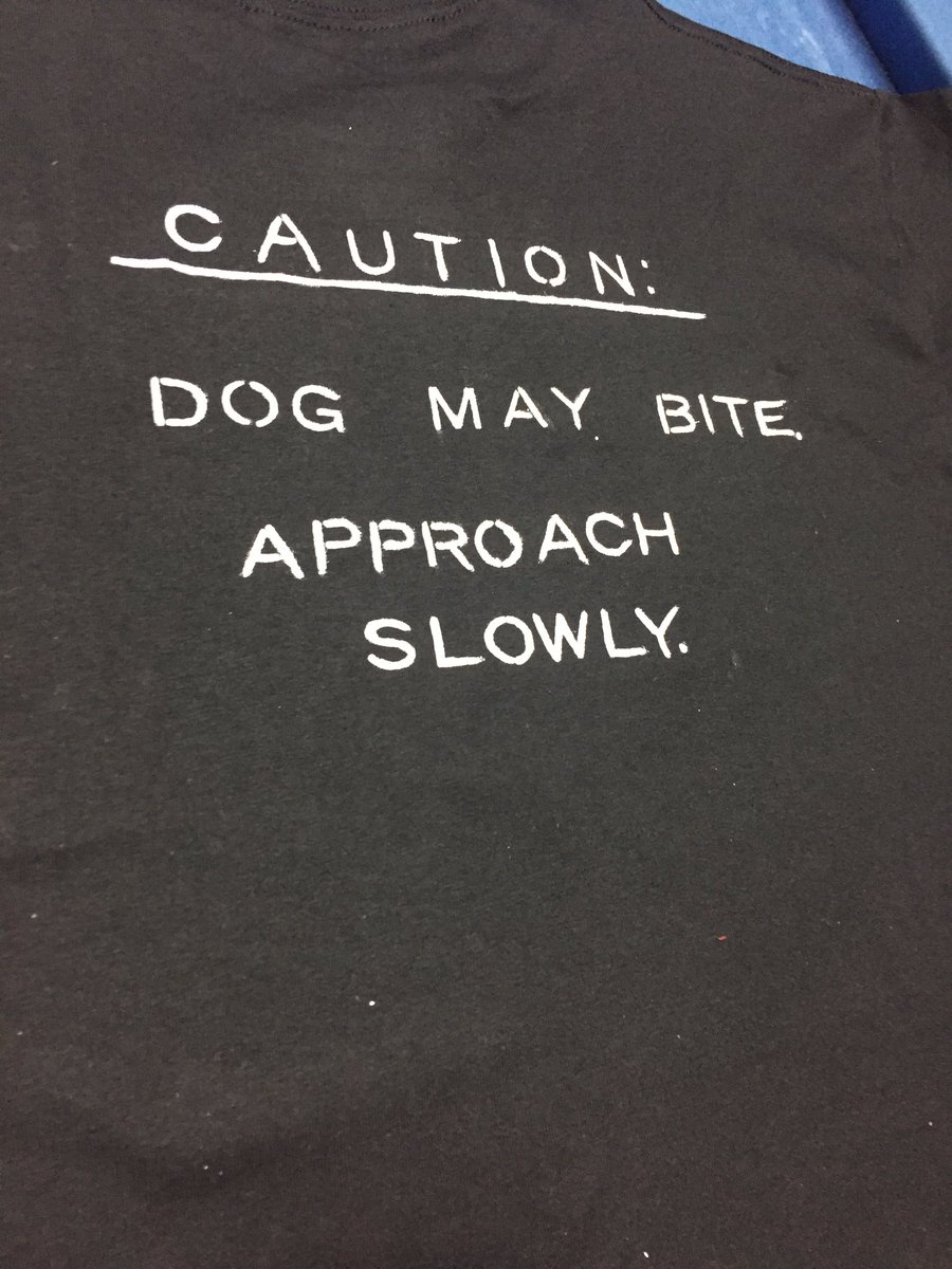 Would anyone be interested in buying shirts etc from me? I’d make a custom sheet you can fill out for your orders if people are interested!