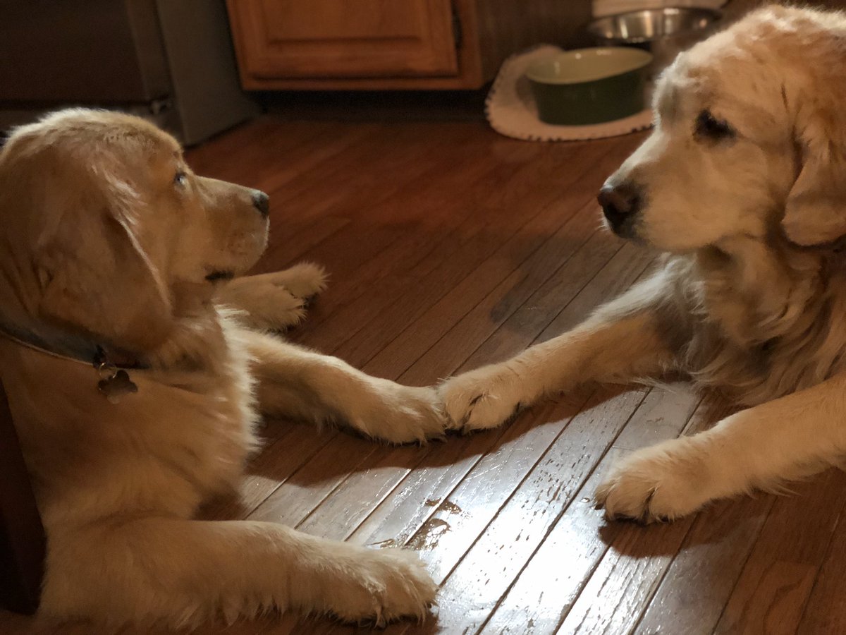 DIPMAMCM's tweet image. Here’s to #PeaceAndLove and #Happiness in #2020WillBeTheYearFor