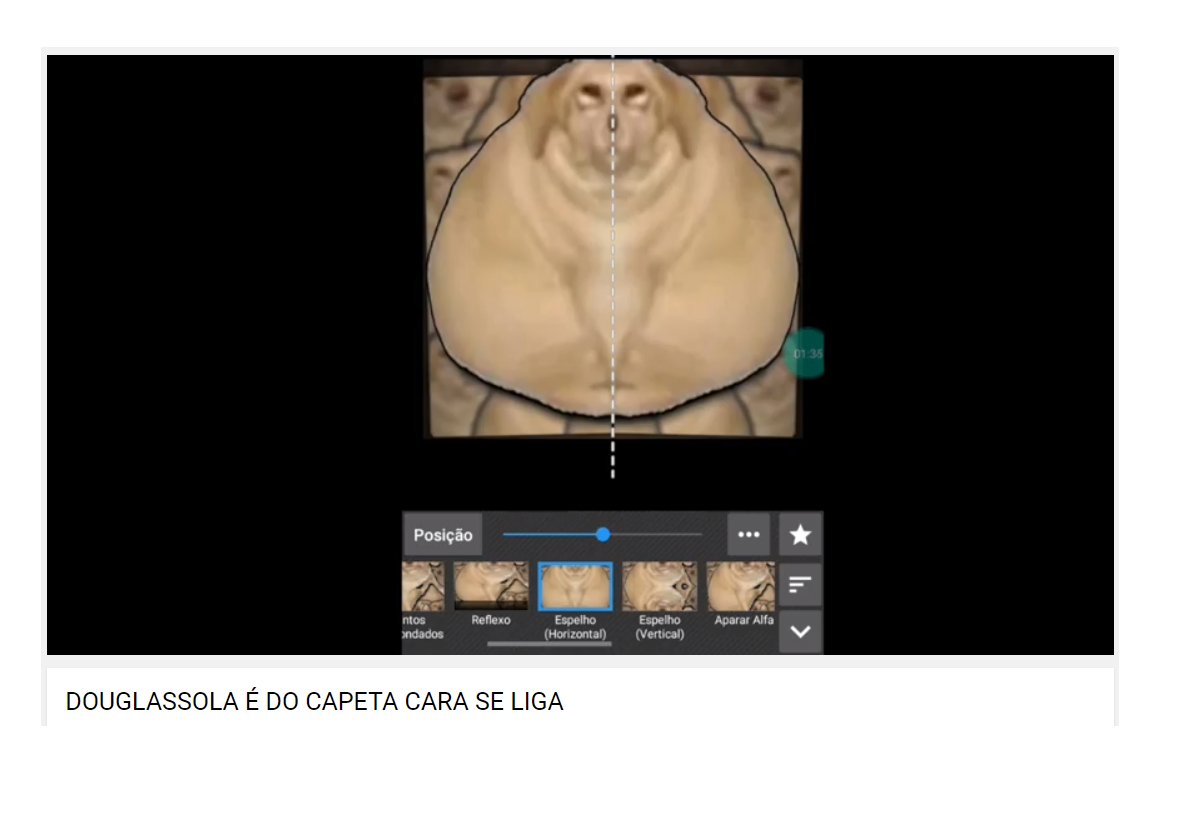dogla tweet media