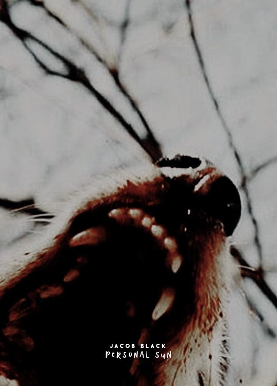 JacobEmBlack's tweet image. —