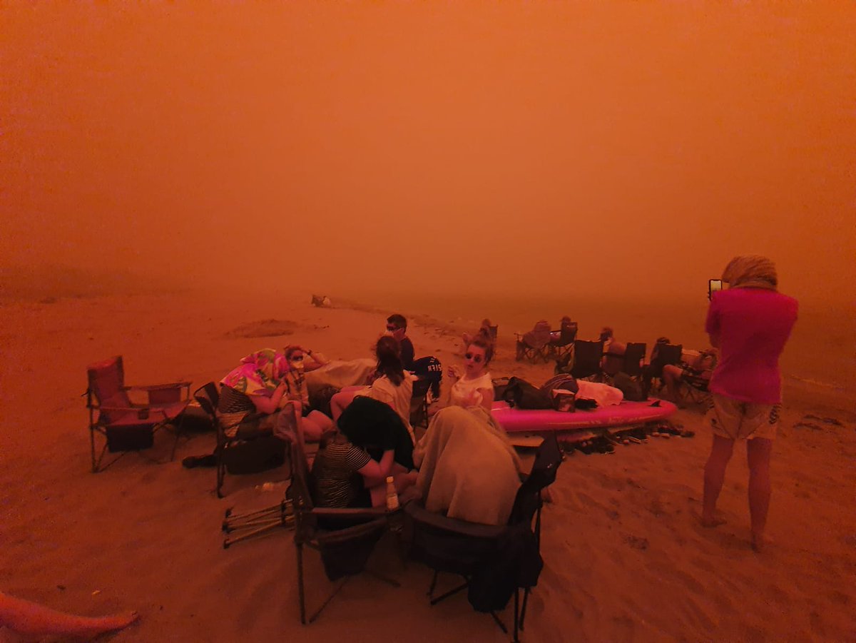 9NewsSyd's tweet photo. Batemans Bay residents are now evacuating to the beach, these are the scene captured a short time ago. 

LIVE COVERAGE: https://t.co/7oP3HkcPse 

LATEST RFS INFORMATION: https://t.co/OUj0yszjdF

📸 - Alistair Prior. #9News https://t.co/jsfk1m8aRu