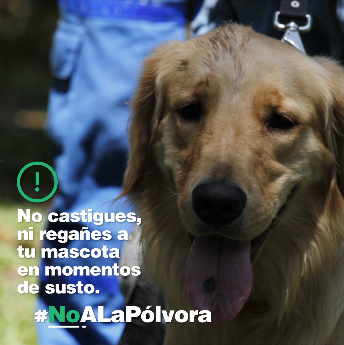CruzRojaAntioq's tweet photo. #CRCSA | 💜👩 No castigues, ni regañes a tu mascota en los momentos que se asuste por el ruido de la pólvora, esto es malo para su salud mental #AyudaAtuMascota #NoALaPólvora
#JuntosProtegiendoLaVida https://t.co/CRXq39Au6V