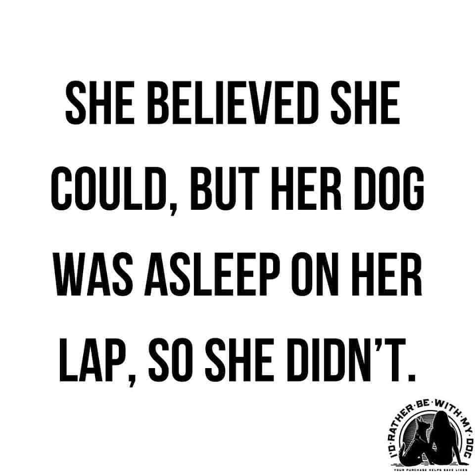 GirlyWithATwist's tweet photo. So very true. #Wolfie #ChiDog https://t.co/FDlwQ1oiSl
