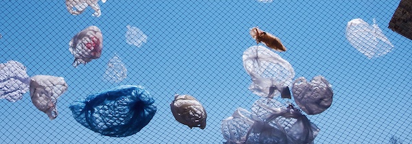 MainstreamGrn's tweet image. #ItsTimeToSayGoodbyeTo  #PlasticDisposables including plastic shopping bags! #ReadyWithReusables @MainstreamGrn #PowerfulTogether