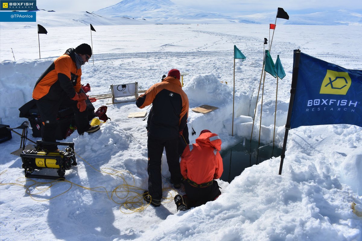 boxfishrobotics's tweet photo. The team is prepared for the one of the first Boxfish ROV's dives during @TPAonIce scientific expedition 2019/2020. Stay tuned to our channels for new amazing discoveries!
Photo credit: Douglas Grant
#K070 #coolscience #BoxfishROV #underwaterphotography #Antarctica https://t.co/1sxQ9WbIq0