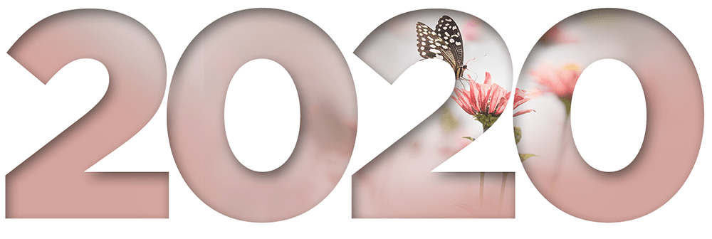 DreamingDiapers's tweet photo. IVF #8…..and #9 https://t.co/D2cahCwfgu https://t.co/nfMMExfs2q