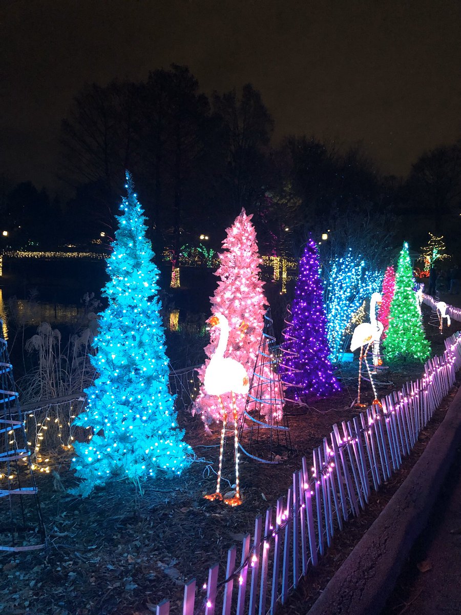 Cold but fun! Taking in last night of #wildlights #ilovezoo <a href="/stlzoo/">Saint Louis Zoo</a> I ❤️ STL