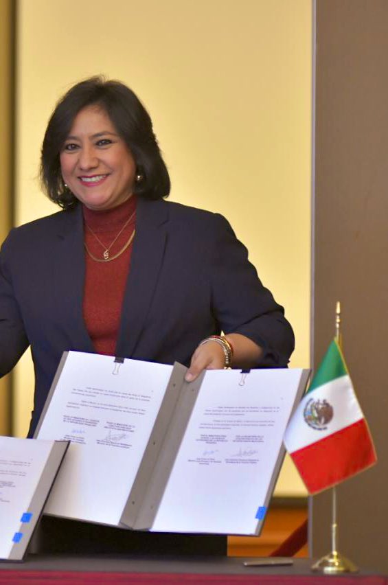 Irma Eréndira Sandoval B. tweet media